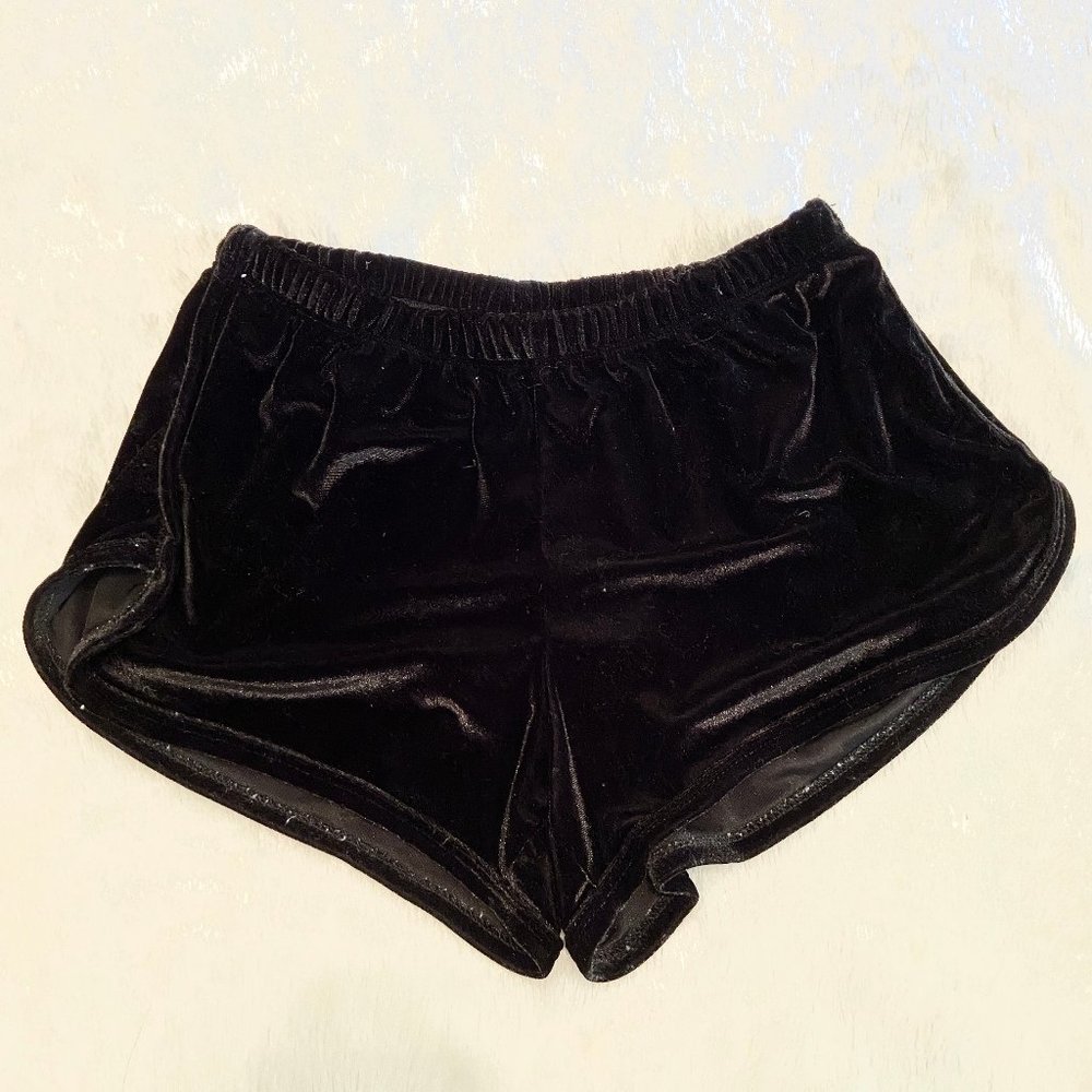 BRANDY MELVILLE Lisette Velvet Shorts